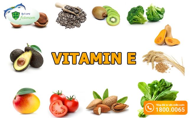 Thực phẩm giàu vitamin e cho bệnh nhân đa nang buồng trứng