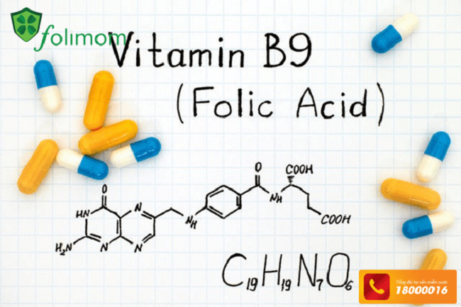 Axit folic nhân tạo còn có tên gọi khác là vitamin B9