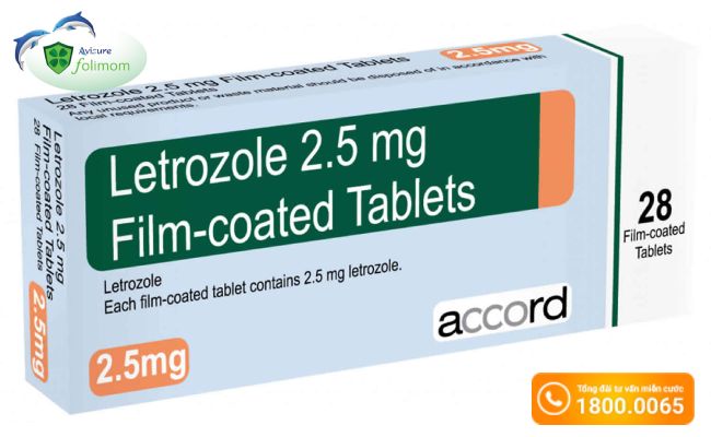 Điều trị đa nang buồng trứng bằng thuốc letrozole