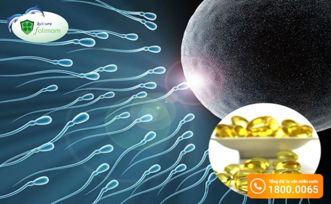 Vitamin e làm tăng khả năng thụ thai ở bệnh nhân buồng trứng đa nang