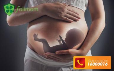 Phụ nữ mắc buồng trứng đa nang dễ bị sẩy thai